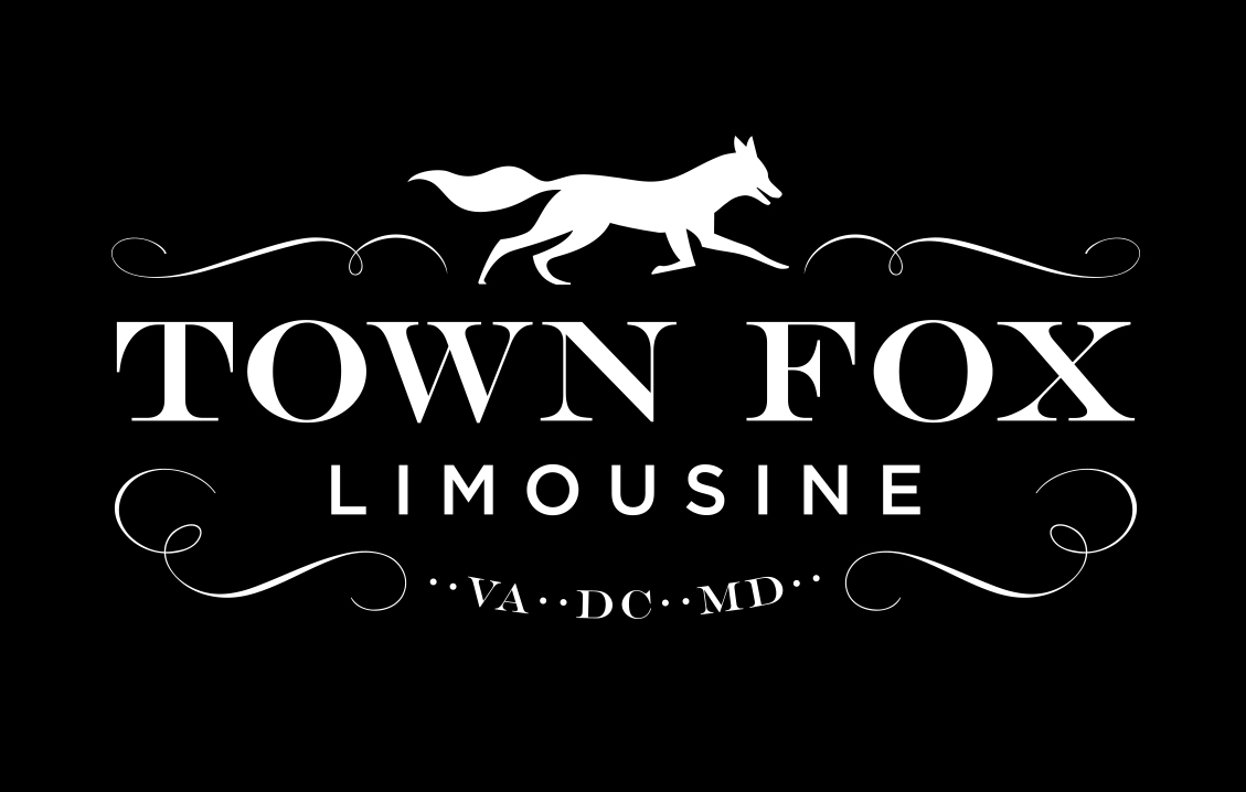 MG_Town Fox2